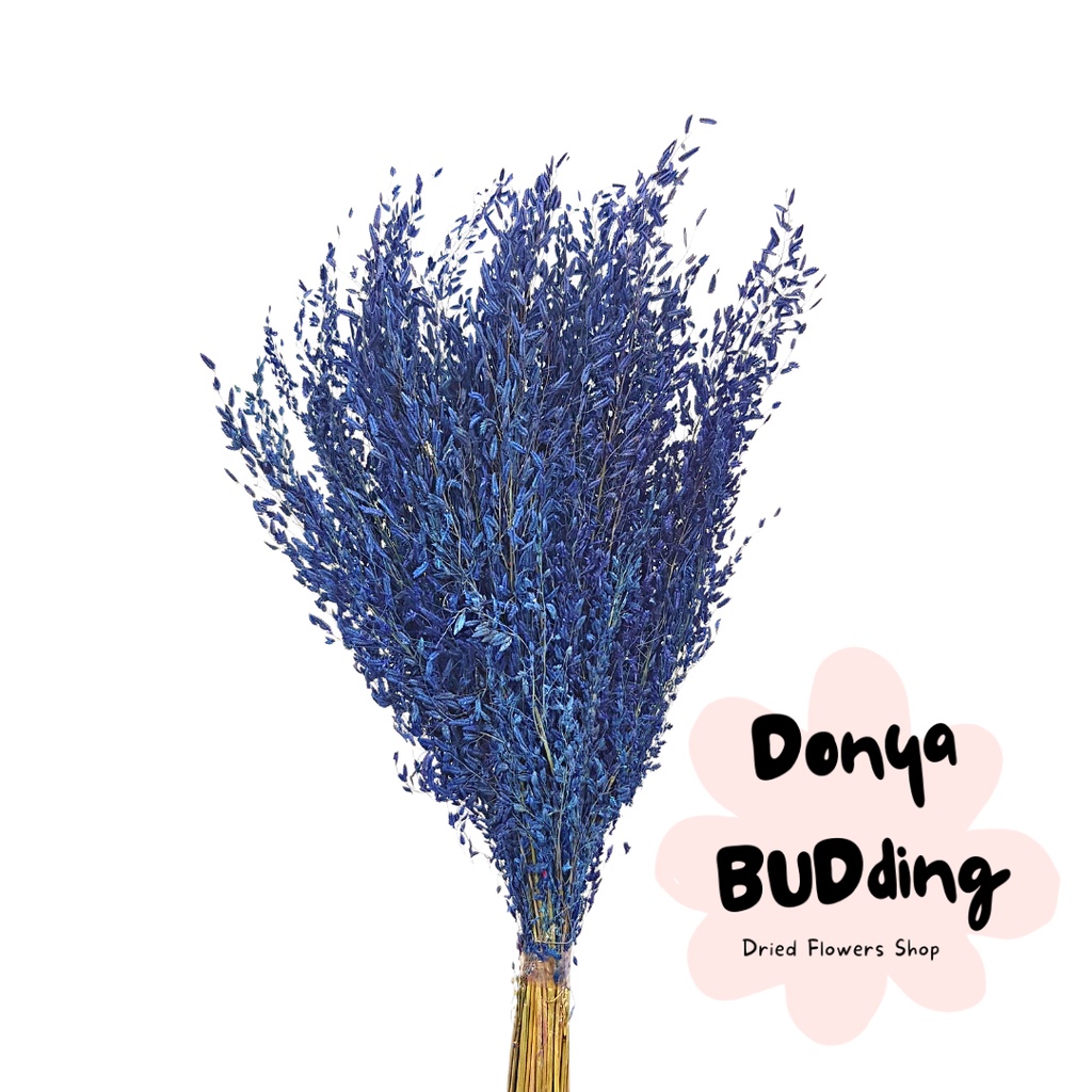 Dried Flower Dried Misty Rice (Full Bundle) | Shopee Philippines