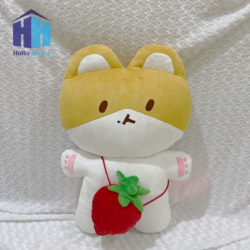 Unboxing Baekhyun Teolaegi 80 cm Doll | TikTok