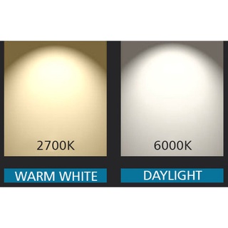 8Watts of 100 Meters LED Strip Light Daylight 6000K Warm White 2700K ...