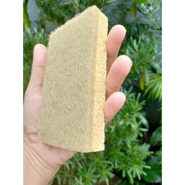 Compostable Coco Sponge Scouring Pad Biodegradable | Shopee Philippines