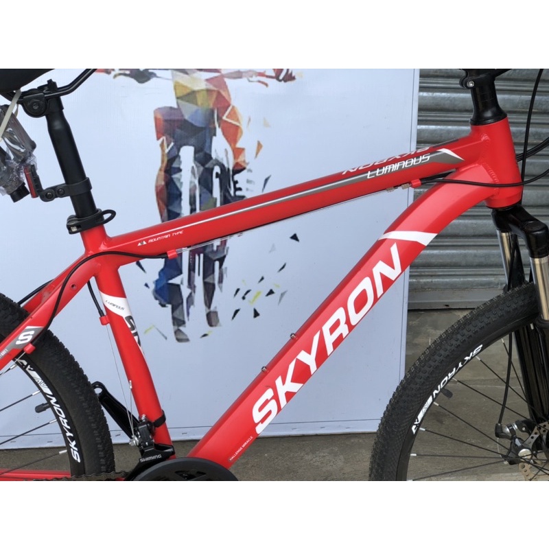 Skyron mountain bike price outlet