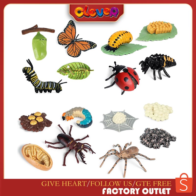 CLEVER 4pcs Insect Figurines Life Cycle of Monarch Butterfly,Honey Bee ...