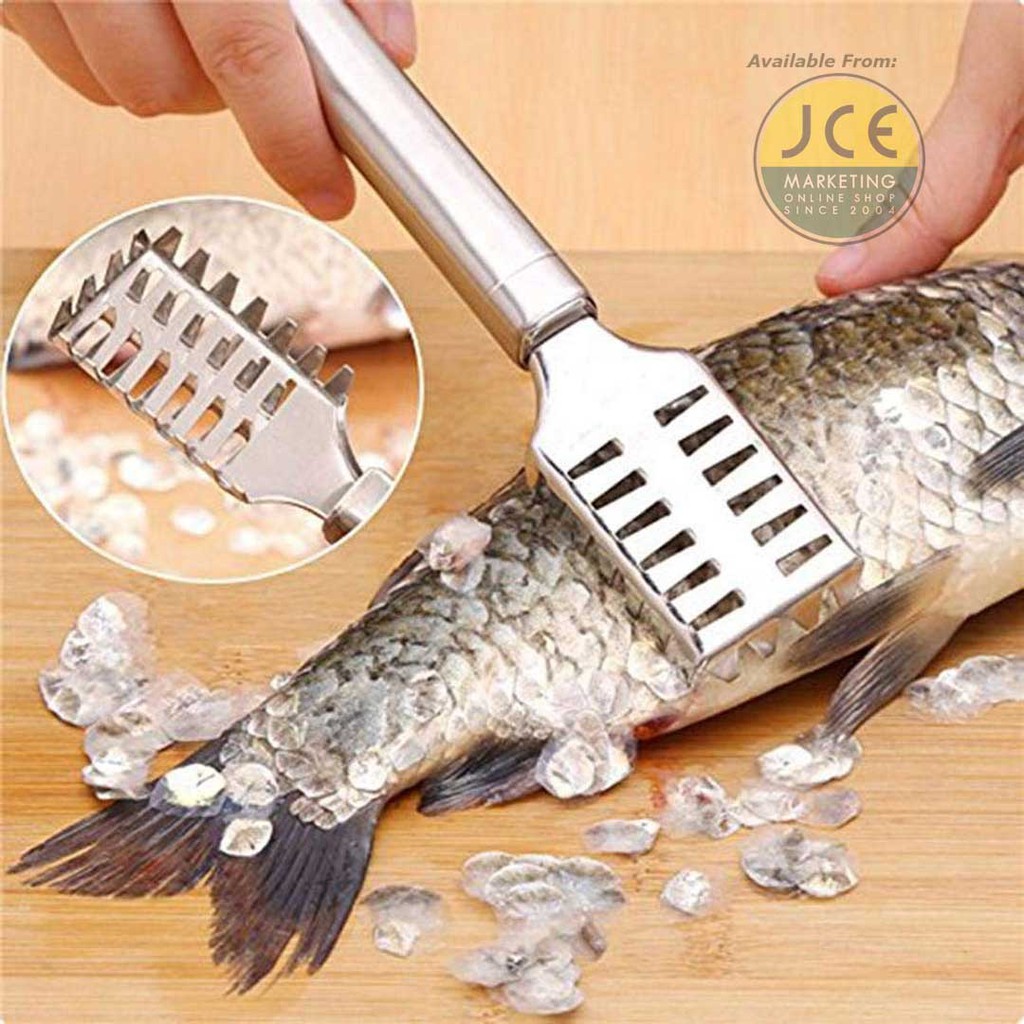 STAINLESS FISH SCALE REMOVER SCRAPER FISH SCALER | Shopee Philippines