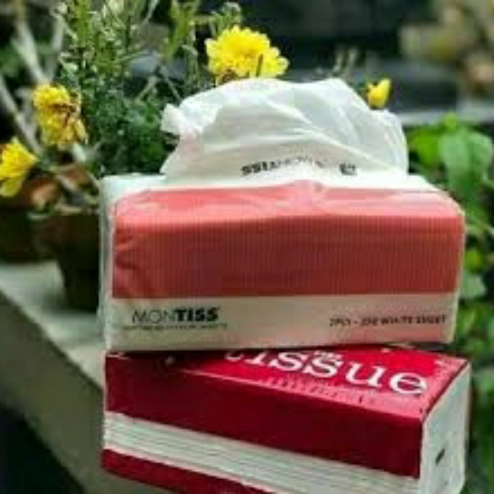 BUY 1 GET 1 FREE (2 PCs) Montiss Facial Tissue 250 sheets - Montiss ...