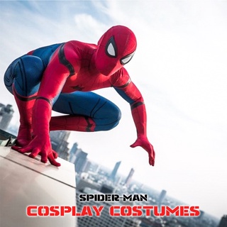 Disguise Marvel The Amazing Spider-Man 3D Movie Classic - Disfraz para  adultos