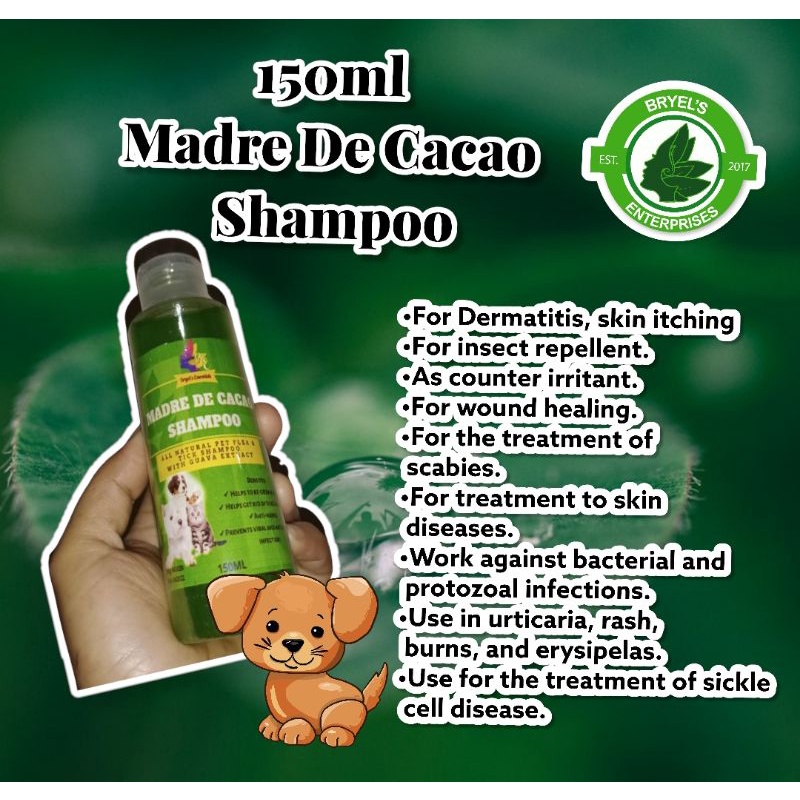 Madre de cacao shampoo for humans sale