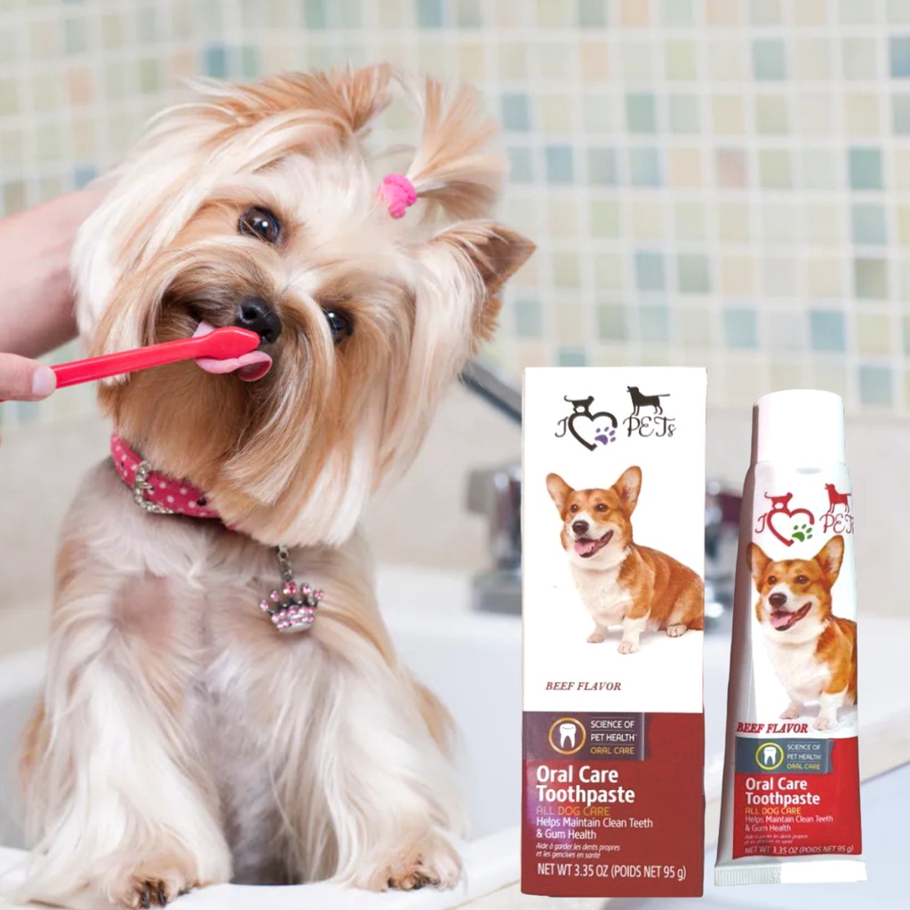 12set Pet Dog Oral Care Toothpaste Beef Flavor 95g Pet Dog Toothpaste