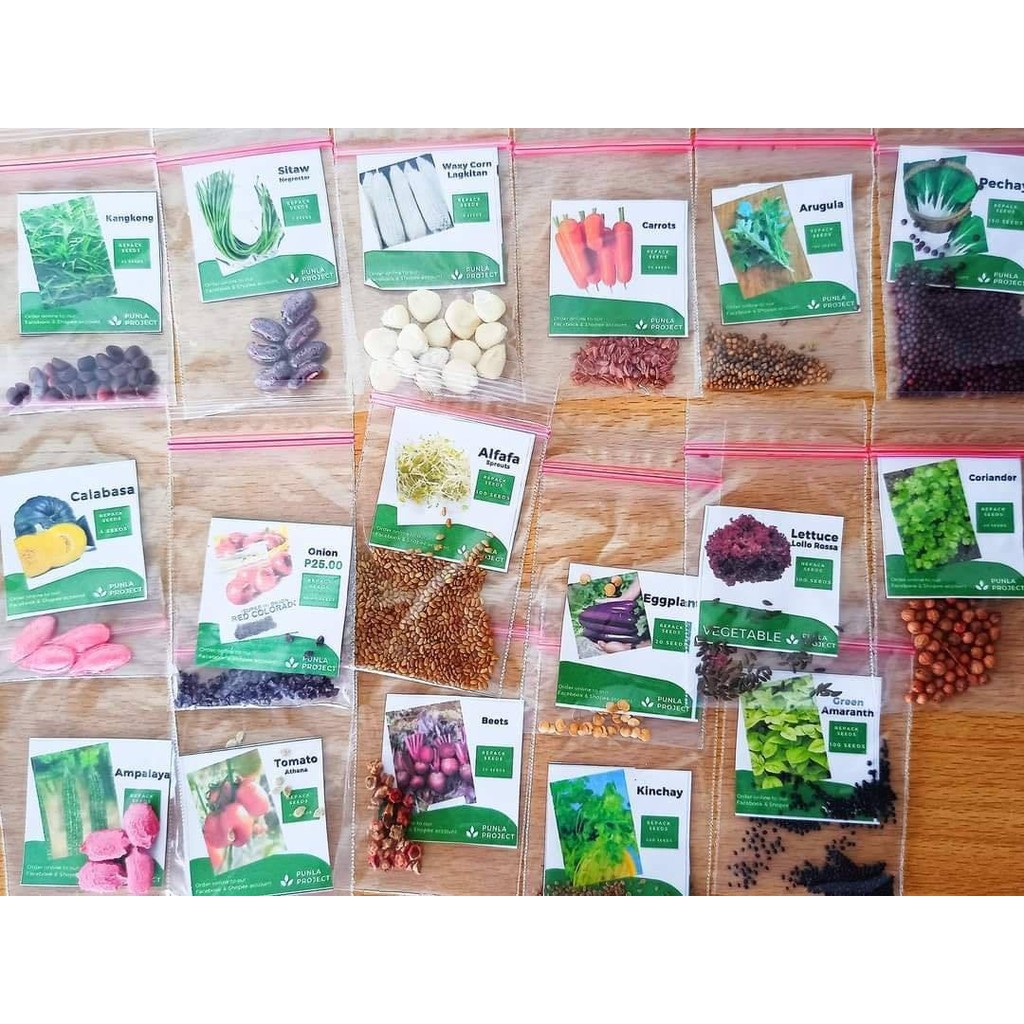 Vegetable Seeds High germination and good quality (WHOLESALE) Shopee