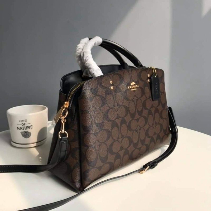 Coach lillie carryall online size