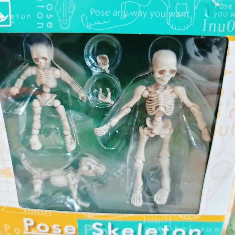 Skeleton Skeleton Skeleton Full Articulation Height About 3 Inch ...