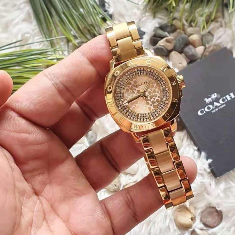 Coach watch shop for women