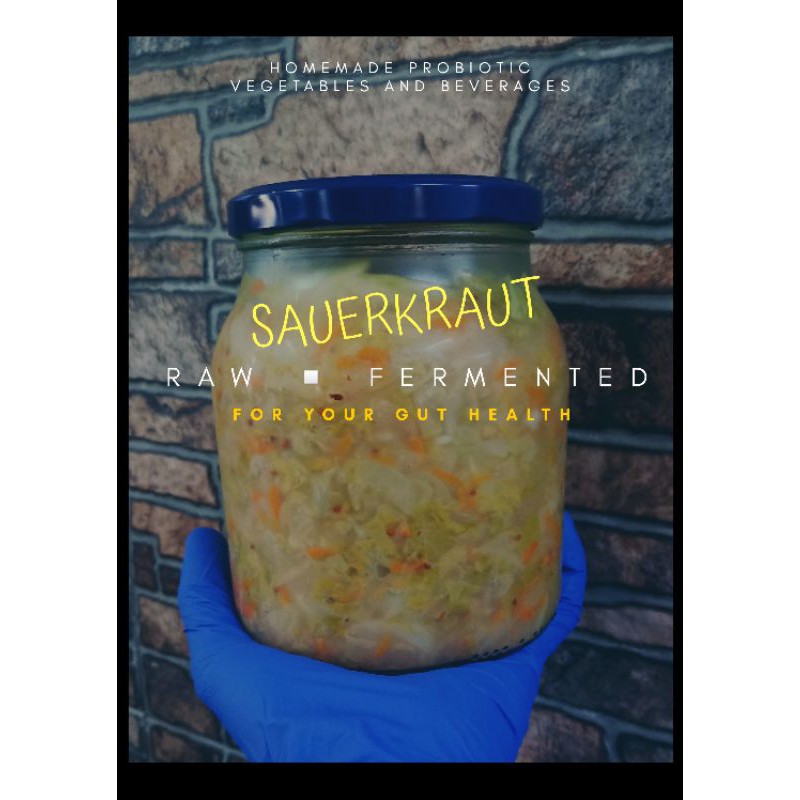 Healthy Probiotic Sauerkraut 450grams Shopee Philippines