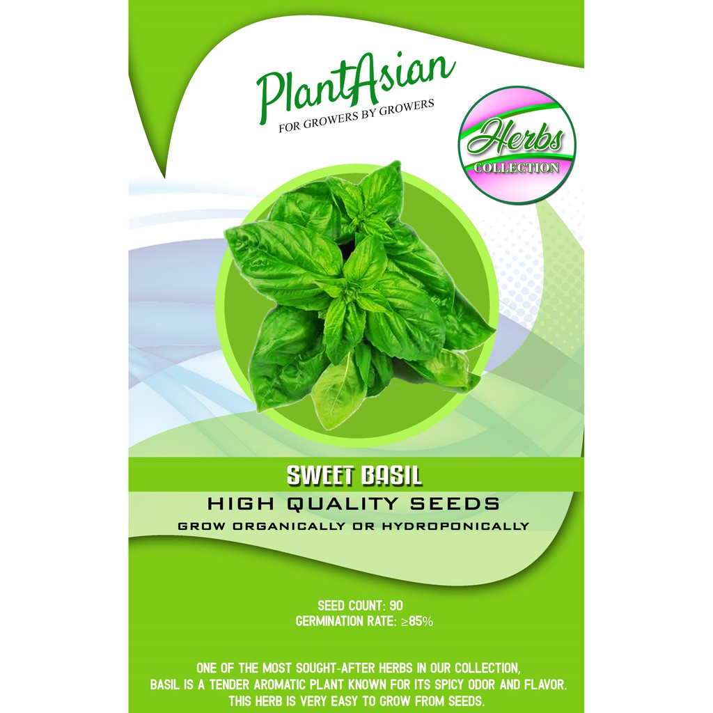 SWEET BASIL SEEDS 90 SEEDS Shopee Philippines