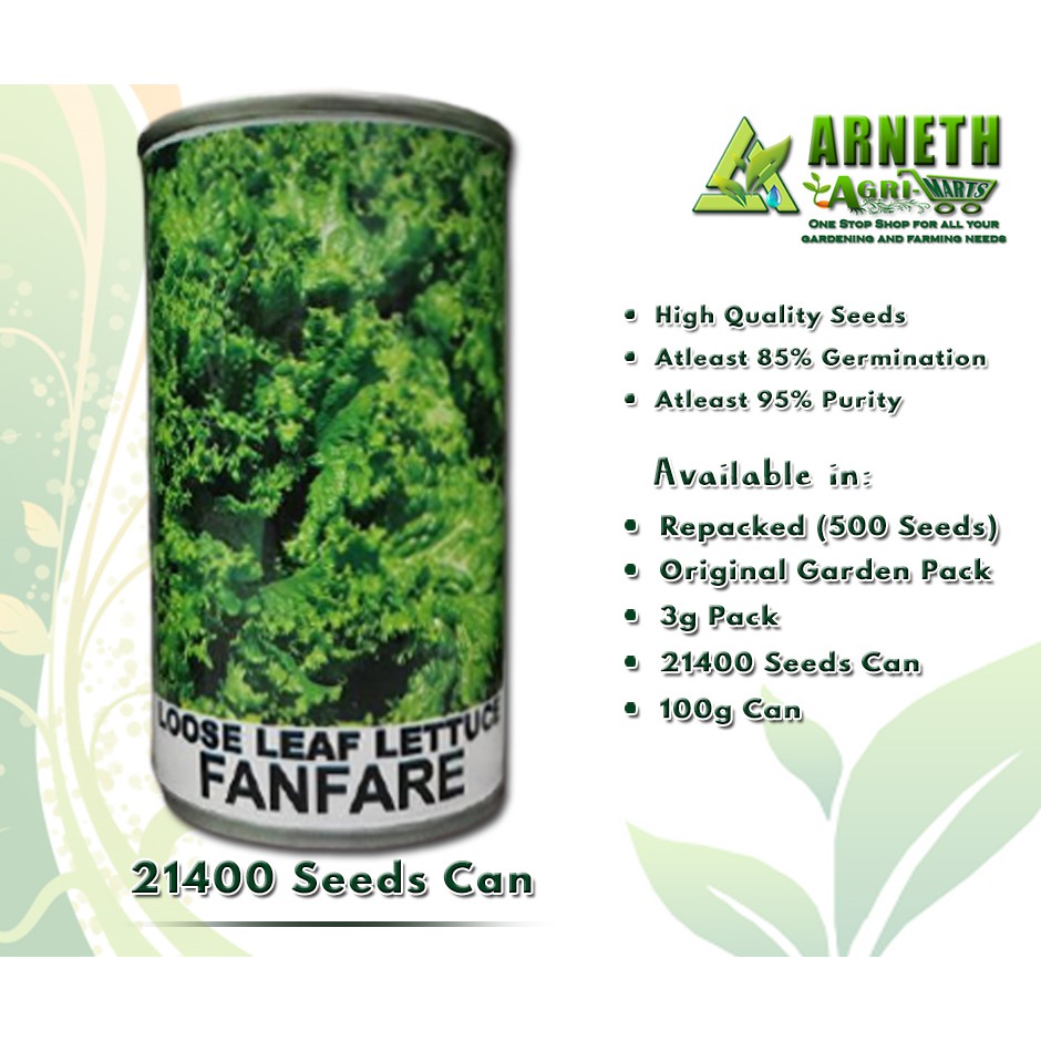 LETTUCE LOOSE LEAF FANFARE SEEDS BY CONDOR SMALL CAN (21400 SEEDS