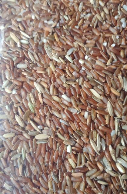 MERAH Solo Red Rice Chicken Bird Feed 1kg BM rooster feed | Shopee ...