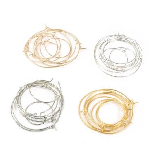Stainless Steel Leverback Earring Hooks 100pcs French Ear Wire Lever Back Earwire for Jewelry Making Crafting, Adult Unisex, Size: One size, Silver