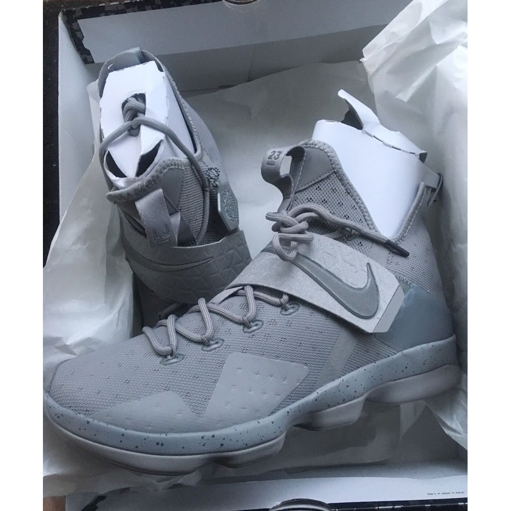 Lebron 14 outlet silver