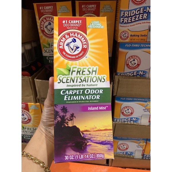 Arm & Hammer Carpet Odor Eliminator 850g Shopee Philippines