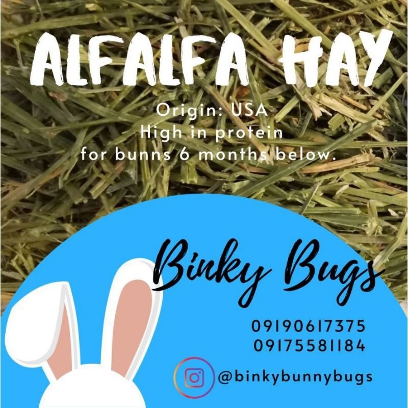 Alfalfa Hay 1kg (not chaff) Shopee Philippines