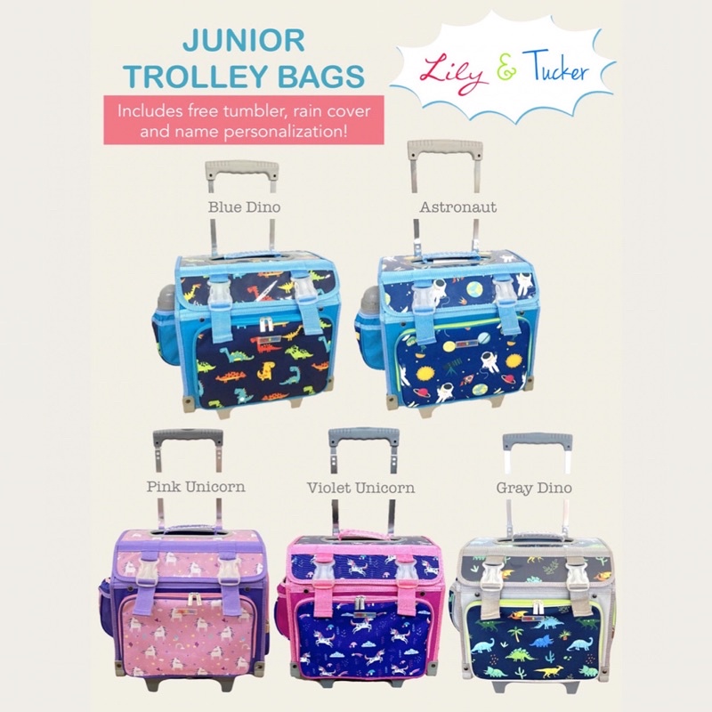 Sm department store trolley bag online