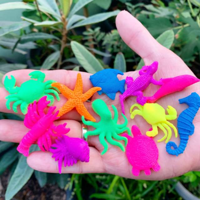 Jumbo GROWING ANIMAL/ANIMAL Enlarged waterbeads Soak water water