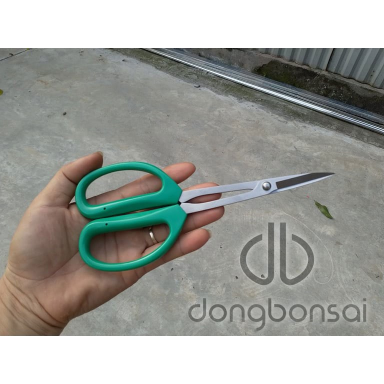 Aesthetic bonsai pruning shears Shopee Philippines