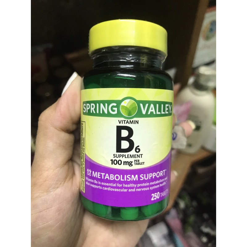 Spring Valley Vitamin B6 Tablets, 100 mg, 250 Count | Shopee Philippines