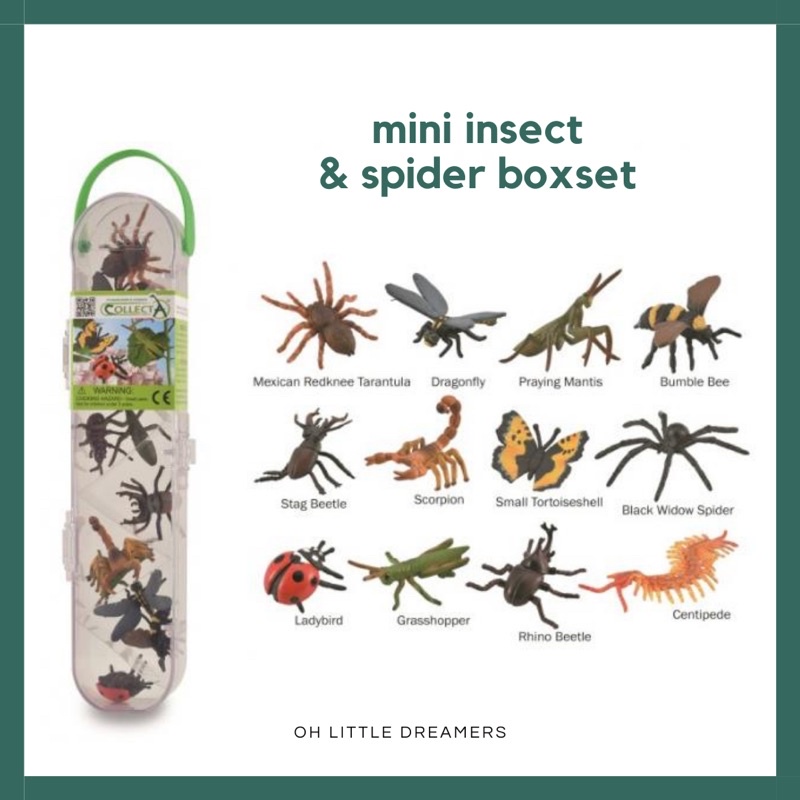CollectA Mini Box - A1106 - 12Pcs Mini Insect & Spider Figurines ...