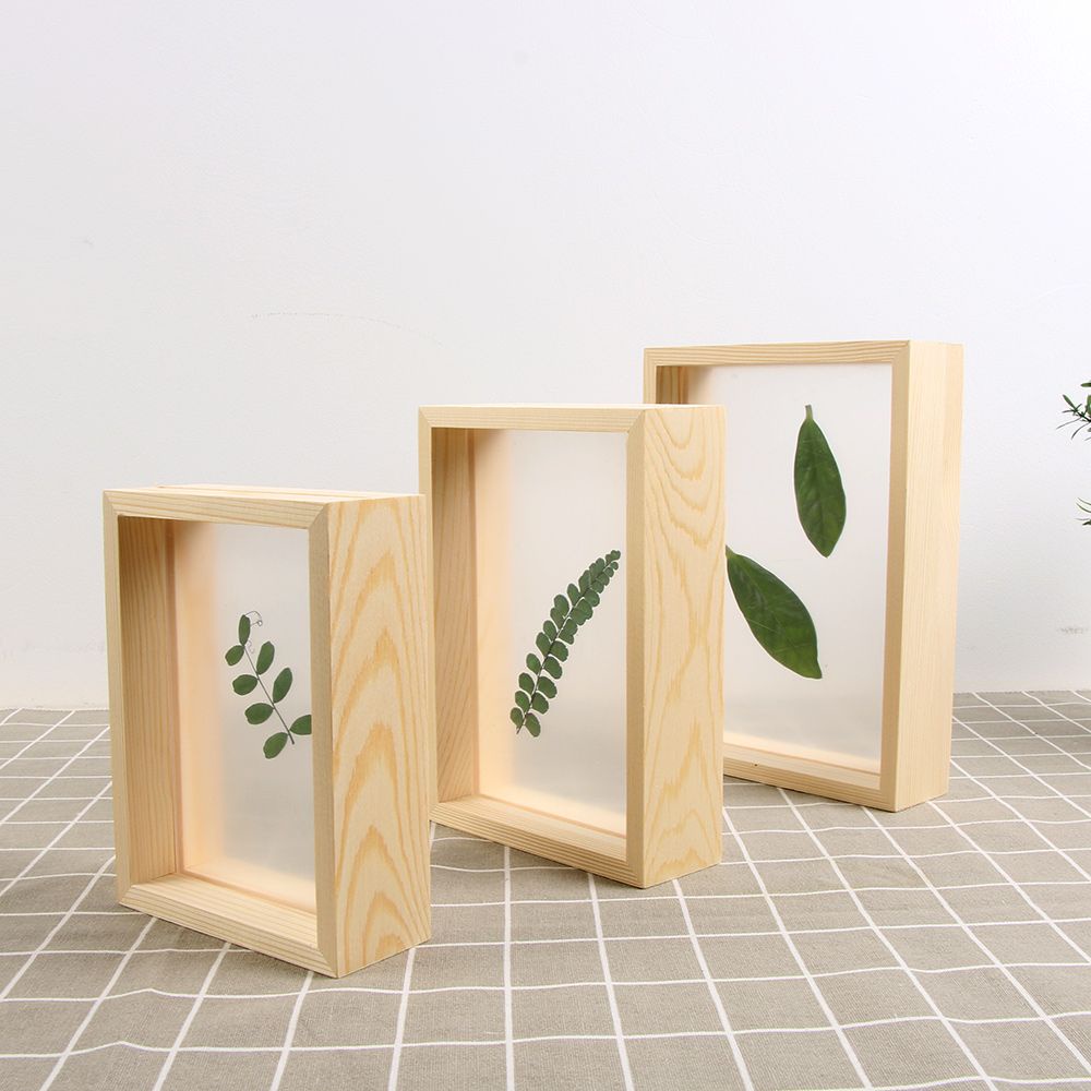 Wooden Photo Frame With Glass Cove For Plant Specimen Modern Picture ...