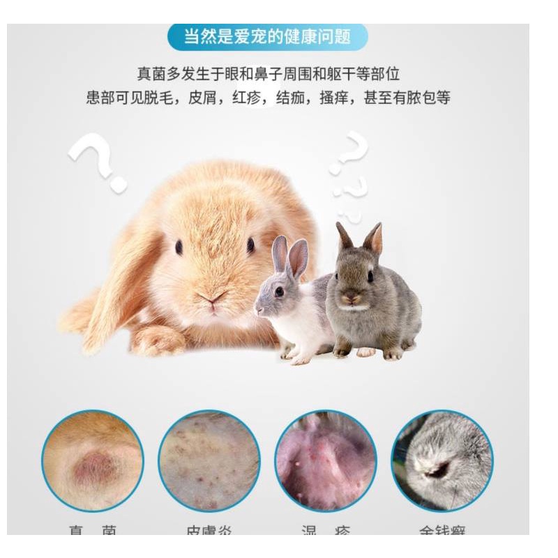 Rabbit fungus infection spray for eliminating rabbit tinea skin disease ...