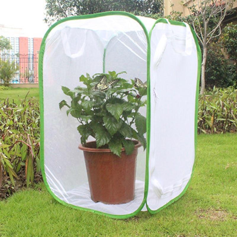 Collapsible Insect Breeding Cages Insect Net Mesh Seedling Incubator S ...