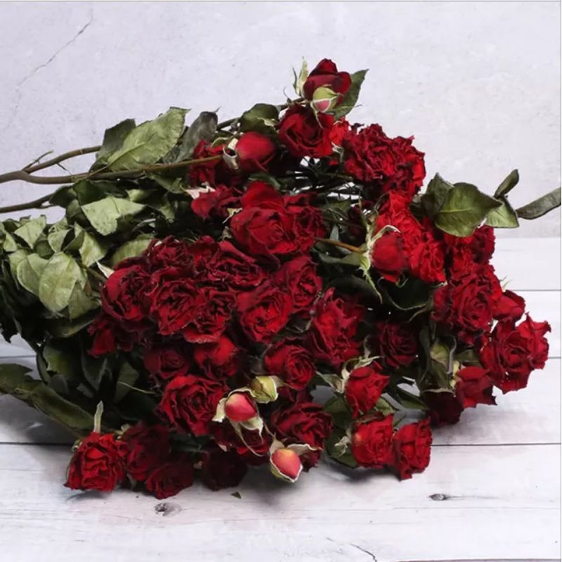 Big Head Preserved Dried Roses Real Flower Decor Gift Wedding Party ...