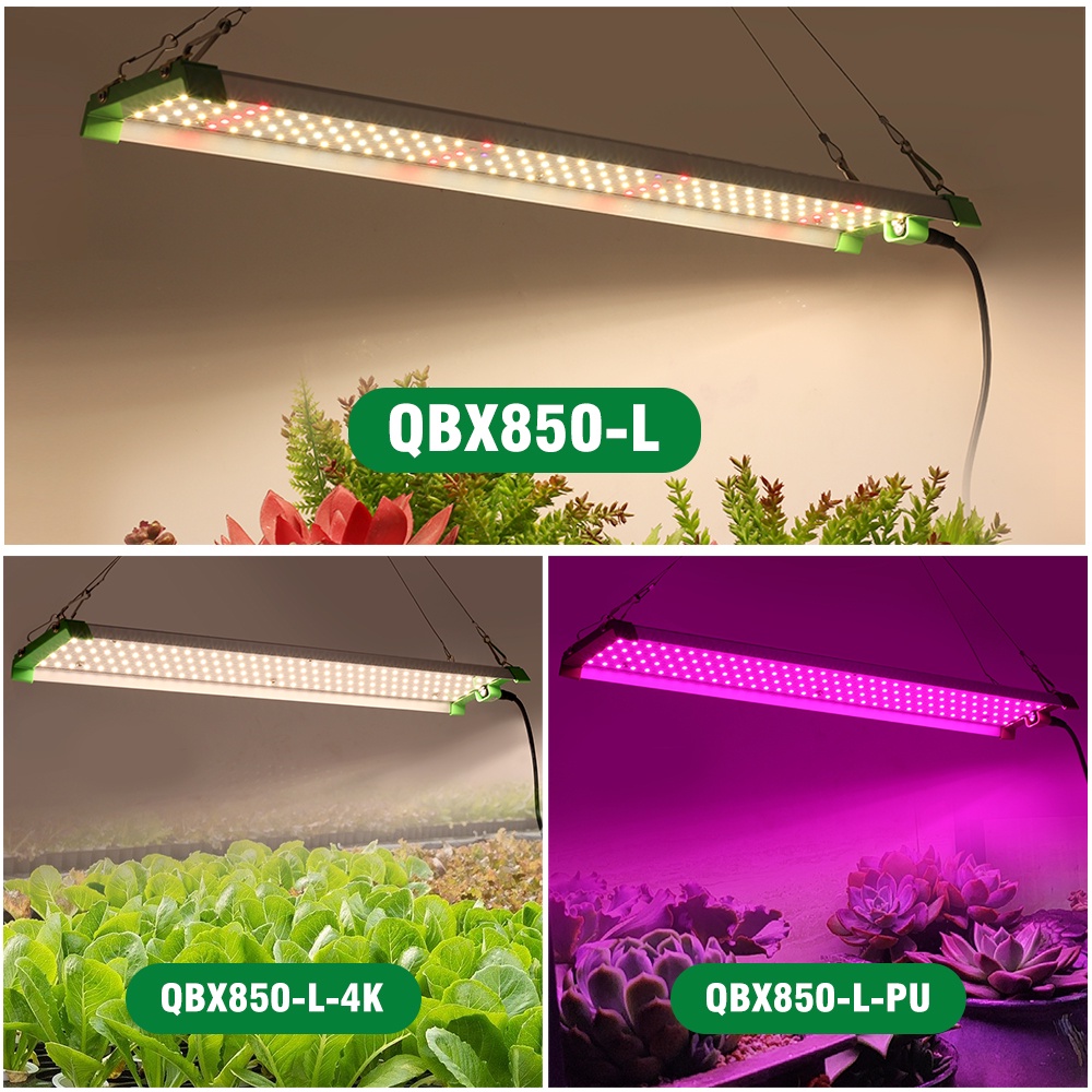 LED Grow Light Full Spectrum 850W LM281B Plant Grow Light for Indoor ...