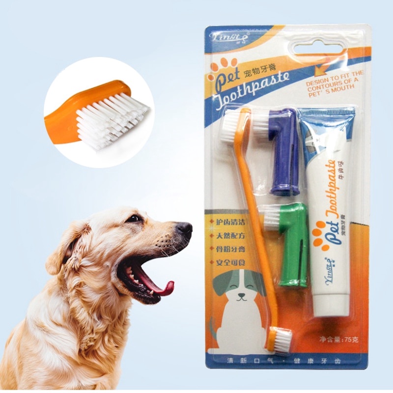 Canine toothbrush and toothpaste deals