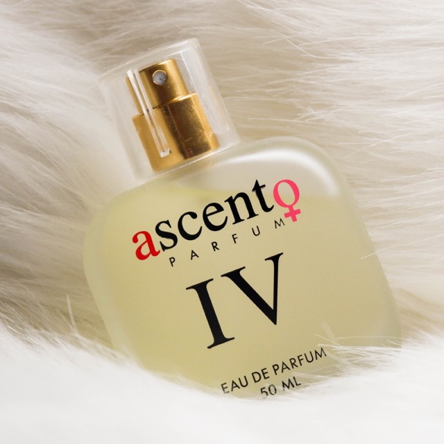 Ascento discount parfum price