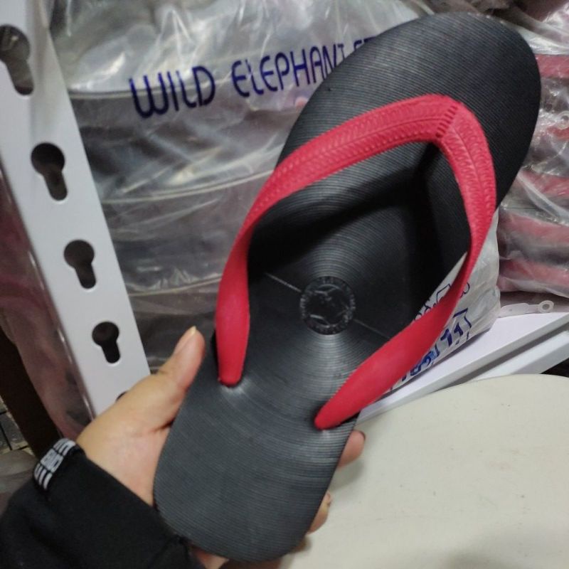 Wild elephant 2024 slippers