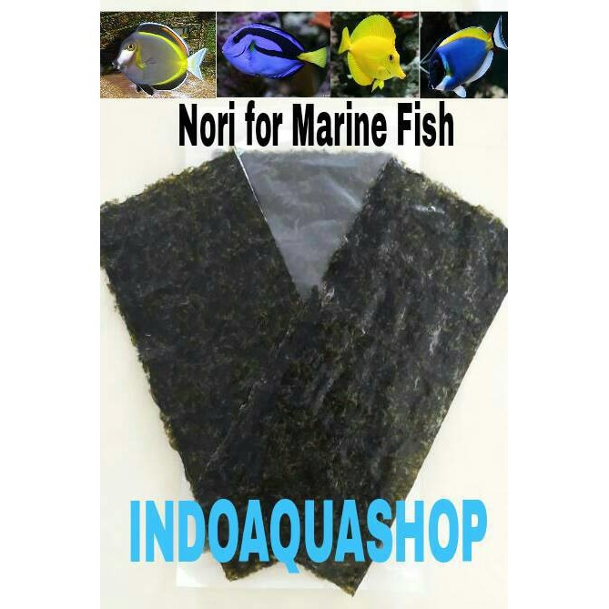 Nori - Marine Fish Food | Shopee Philippines