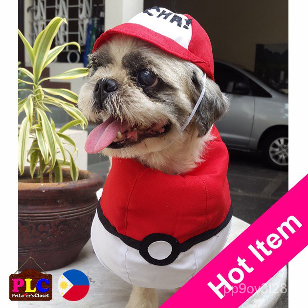 Pokemon dog outlet clothes