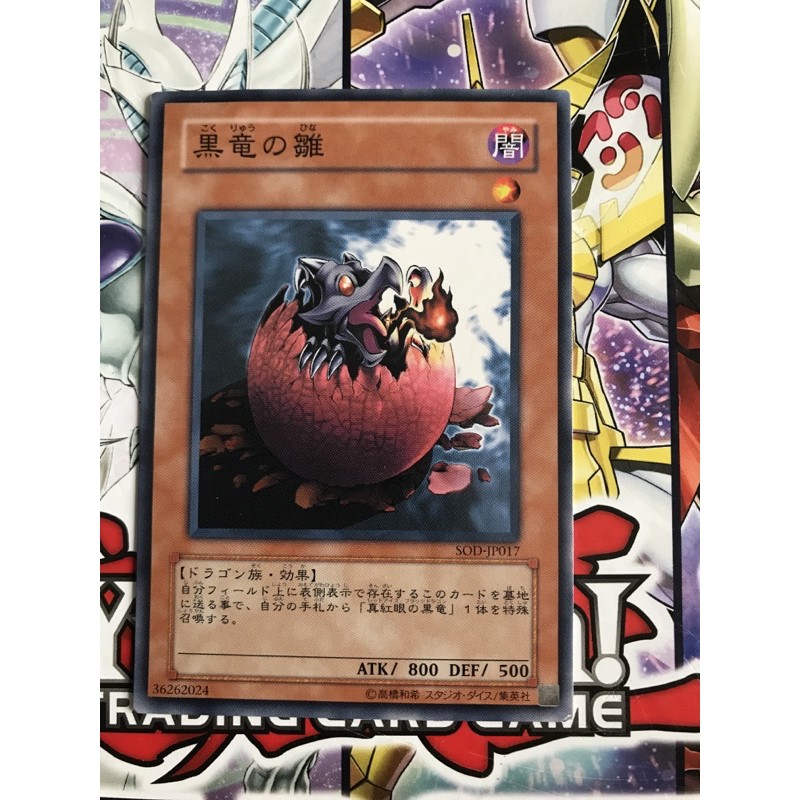 YUGIOH Red Eyes B. Chick OCG (C) Shopee Philippines