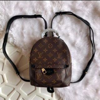 Louis Vuitton Mini palm spring bag Gamousa inner