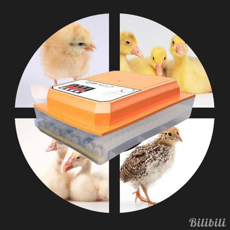 Fully Automatic Digital Eggs Incubator Hatcher Poultry Temperature ...