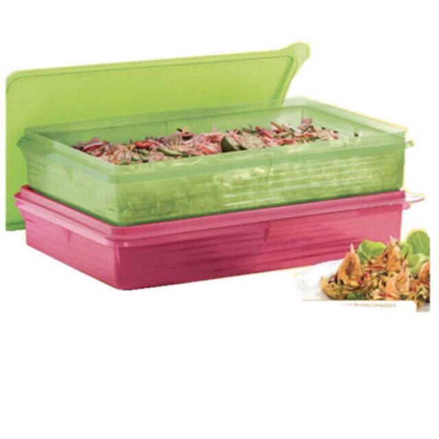 Tupperware Cold Cut Keeper (2pcs) | Shopee Philippines