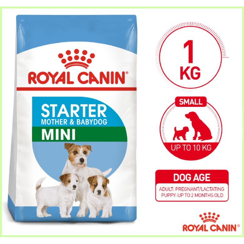 Royal Canin MINI STARTER 1kg Dry ORIGINAL PACKAGING Canine Dog Food SPT BabyDog Baby Dog Puppy Shopee Philippines