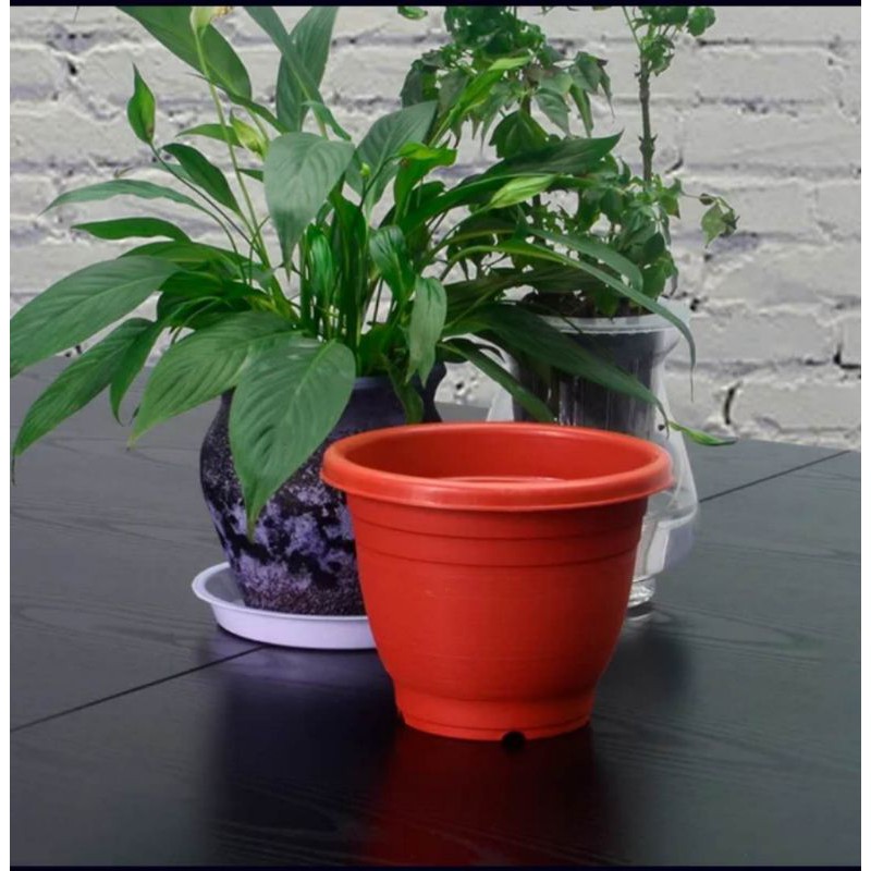 Plastic Flower Plant Pot Planter Container Gardening Seeds Home Living ...