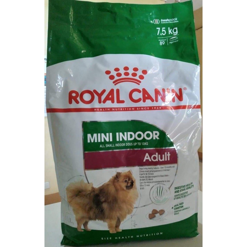 Mini indoor cheap adult