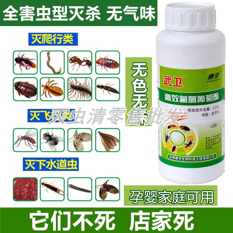 Household Powerful FleaKilling Lice Cockroach Sowbugs BugKilling Moth Medicine Powder Bed