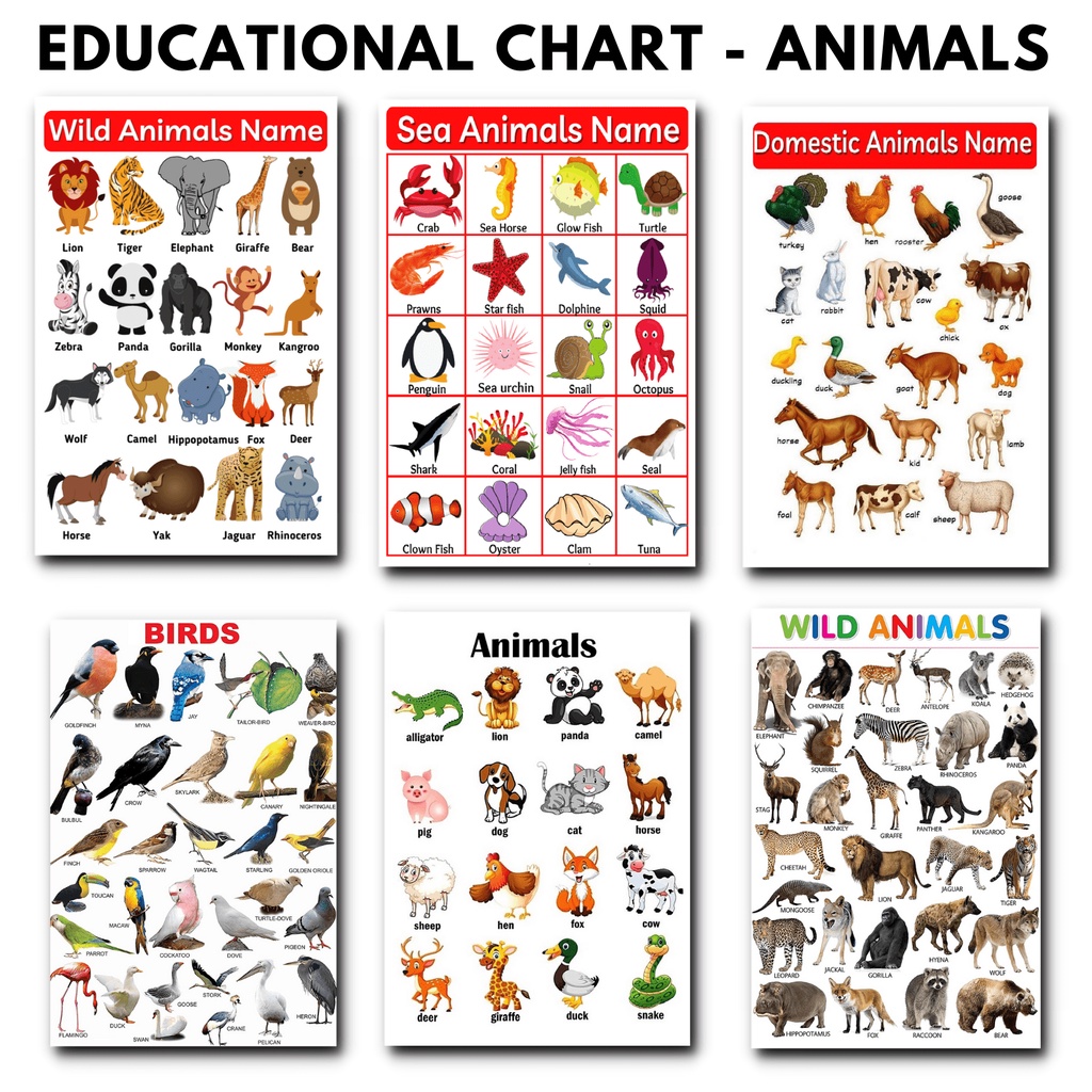 ANIMALS POSTERS, Animals Charts, Laminated Educational chart for kids ...