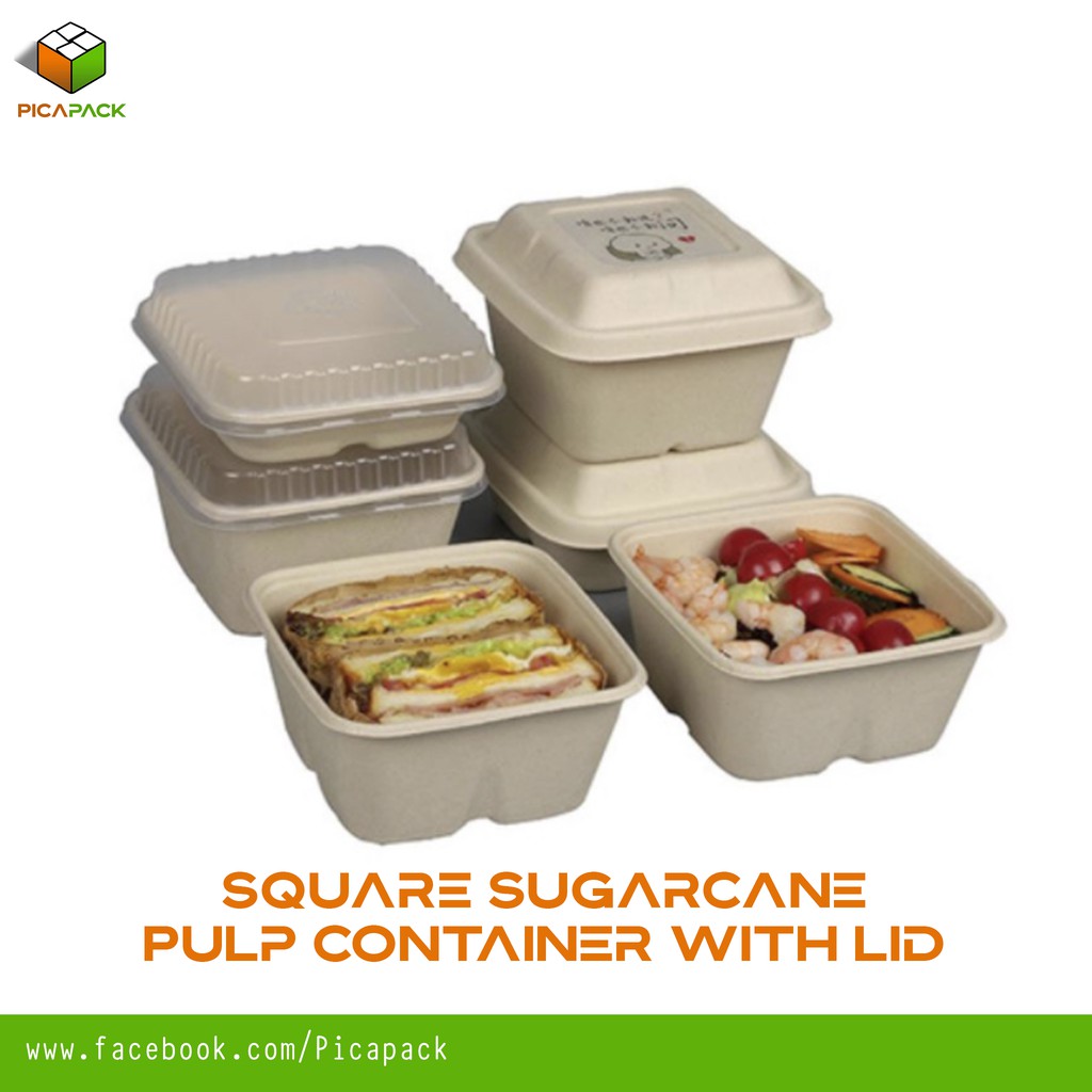 [10pcs] Square Sugarcane Pulp Container Biodegradable Lunch Box Bagasse ...