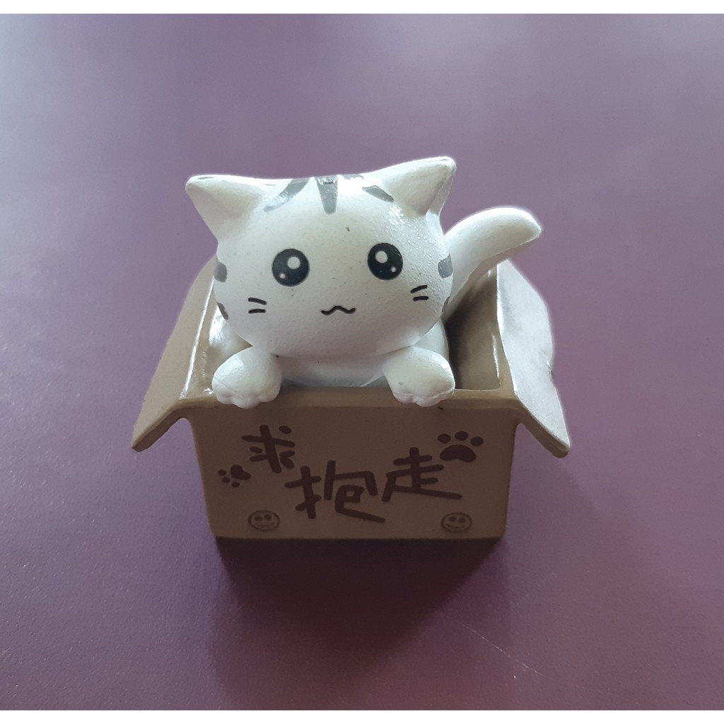 Cat in the box outlet toy