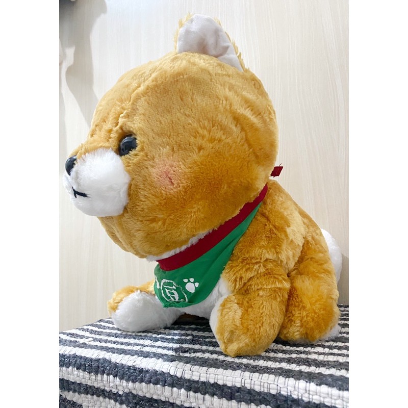 Amuse shiba outlet